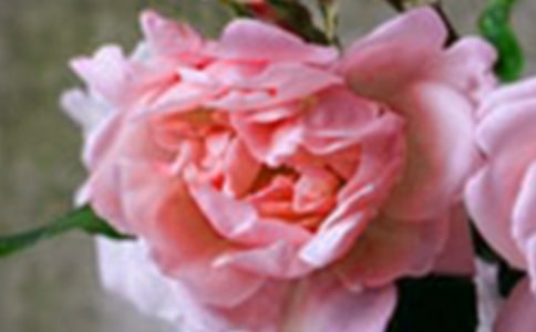 2022��ͨ�û��䃞�����Ӽ��\35��