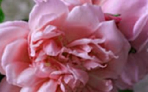 �_�ڷ����ϻ�����x��