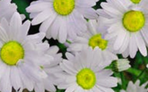 2021�곣�û��䃞�������\��77��