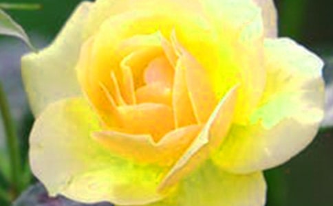 �P�ڻ������ĺ����f�f�İ����ӣ����x200�䣩