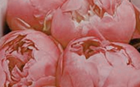 2022�꺆�̵Ļ��䃞�����ӅR��96�l