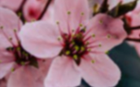 2021�꺆�εĻ��䃞������86�l