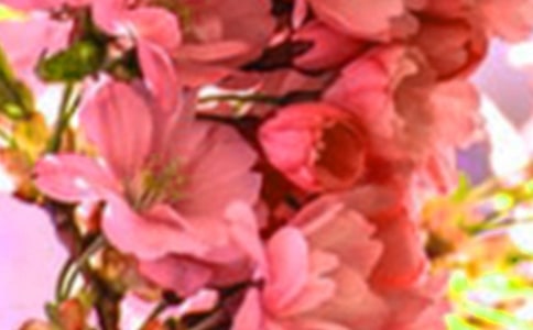 2021�꾫�x���䃞������64��