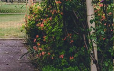 �Ĳػ��@ɢ��