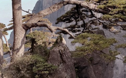 �Sɽ�����ļ��\12ƪ