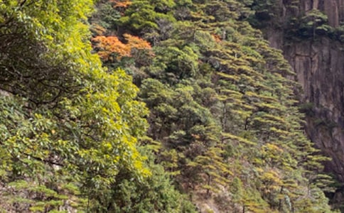 �Sɽ������[����9ƪ]