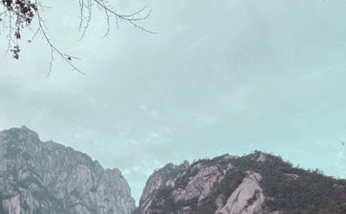 �Sɽ��ӛ���ľ�Ʒ15ƪ