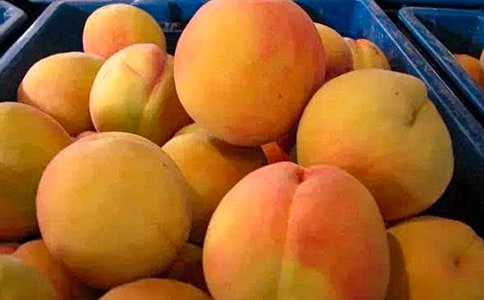 ���l���S�����ģ�ͨ��27ƪ��