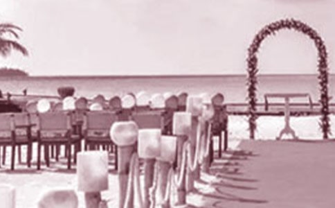 �з���ĸ�ڻ�Y�ϵ����o��ͨ��11ƪ��