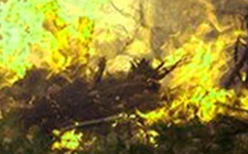 ��ı�ը�¹��ĵ��w��