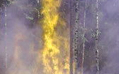 �B(y��ng)�Ϸ���(w��)�I(l��ng)����������(z��i)���ع�����(sh��)ʩ����