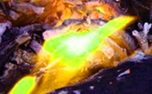 ��ĵ��ĵ��w��800�֣�ͨ��5ƪ��