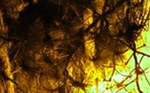 ��ɽ�ֻ���ĵ��w�����ģ����x13ƪ��