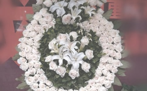 ����,���벻��ȥ���������ӛ