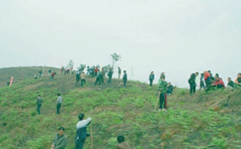 һ�����������Ԋ��