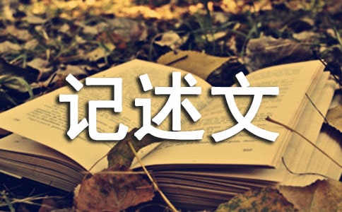 初中優秀記述文