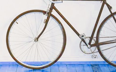 �ҌW�T�_̤܇�Ĺ�������