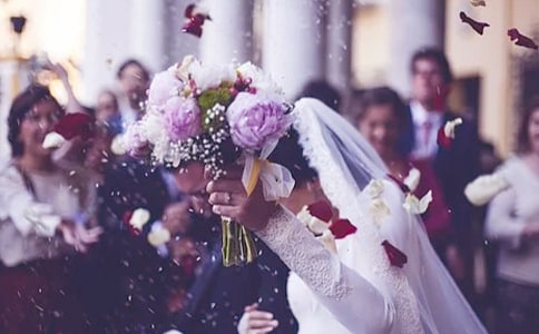 �Y��c�����o(15ƪ)