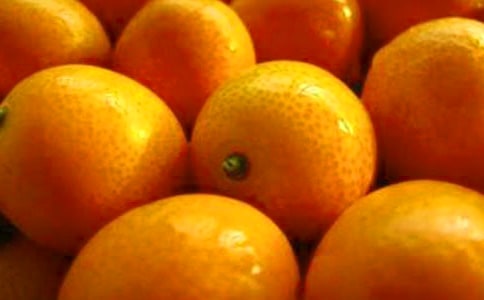 ���᡿�^���۵�����