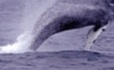 ��һ�l�L�~�����E�����x���600��