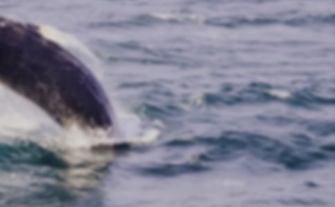 �L�~����������