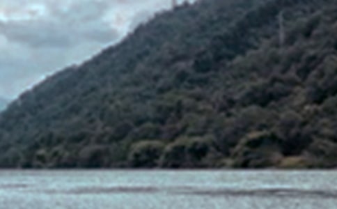 ɽˮ������ɫ�Ķ�