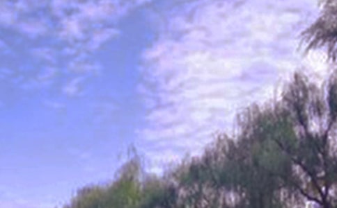 ������ע�⾰ɫ������