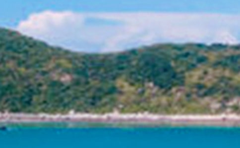 �Sɽ��ɫ���ģ����x58ƪ��