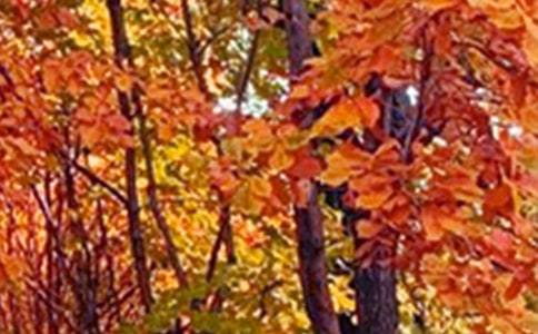 ���x��ɫ�������Ӽ���59�l