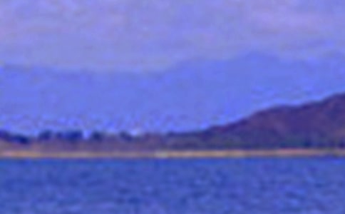 2021�꾫�x��ɫ���������\��35��