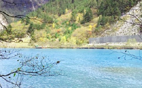 ��կ�ό����~������15ƪ��