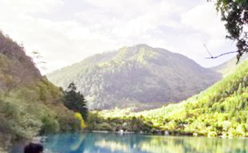 ����կ�ϵġ����ӡ����̌W��˼