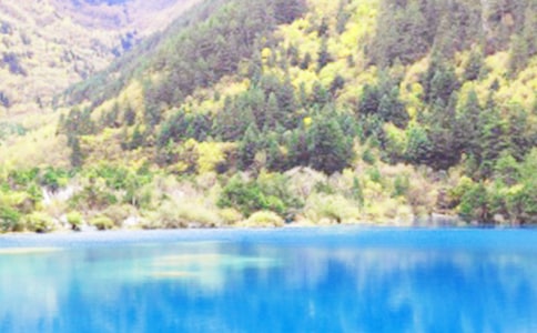 �Ĵ���կ�ϵČ����~15ƪ