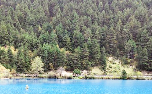 ��կ�����θ���