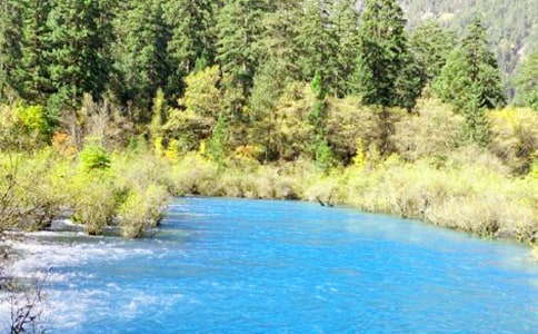 ���Ĵ���կ�ϵČ�(d��o)���~