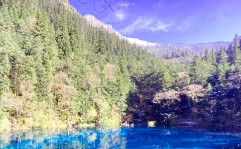 �����]����կ�ό����~