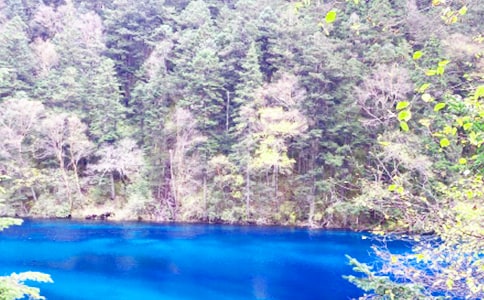 ���g�ɾ���կ�Ͻ̌W(xu��)�O(sh��)Ӌ����