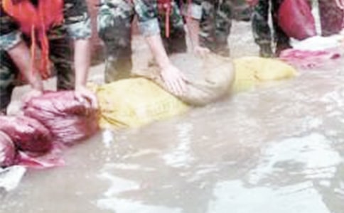 ����Ȟ����壨ͨ��17ƪ��