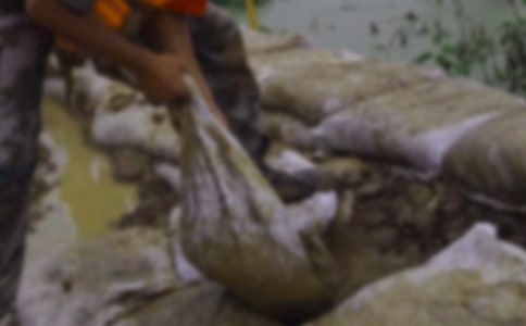 ������ĵ��w�����ģ�ͨ��5ƪ��