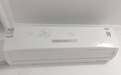 ���{���̎���K���˹������Y