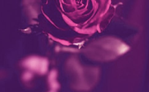 �������˵ľ�����x