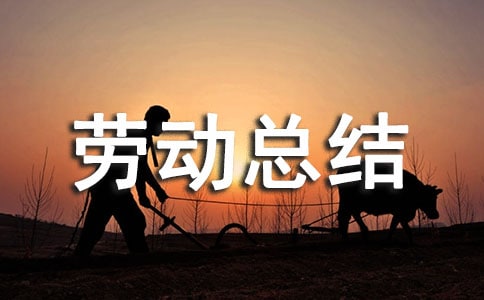 義務(wù)勞動(dòng)總結(jié)