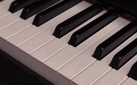 大班《認(rèn)識(shí)樂(lè)器》的教案