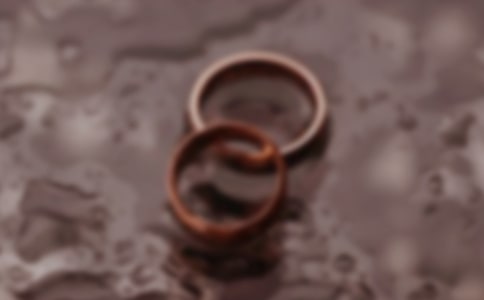 ���P�x��ąf�h�������\��9ƪ