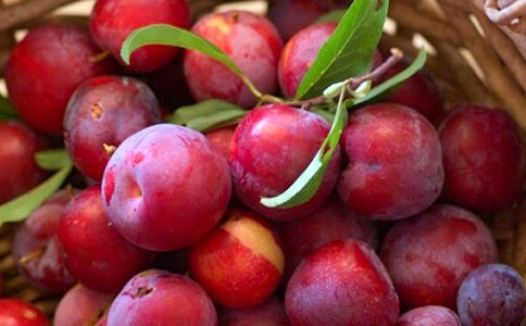 ���Ӻ˶��꼉�̰�����