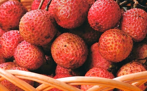 ժ��֦��Ӳ߄�����