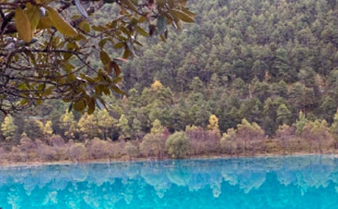 麗江古城導游詞作文