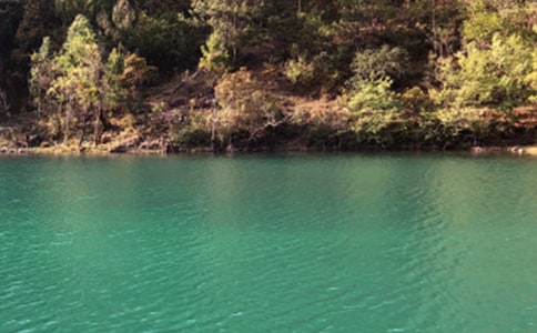 �����ųǌ�(d��o)���~ͨ��