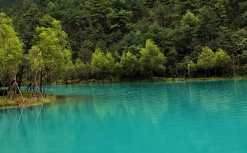 �������ӌ�(d��o)���~6ƪ