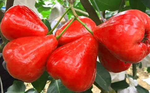 ɏ�F���꼉����